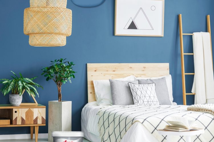 Antibakteriyel Dyo Teknoplast ile Sağlıklı Evler